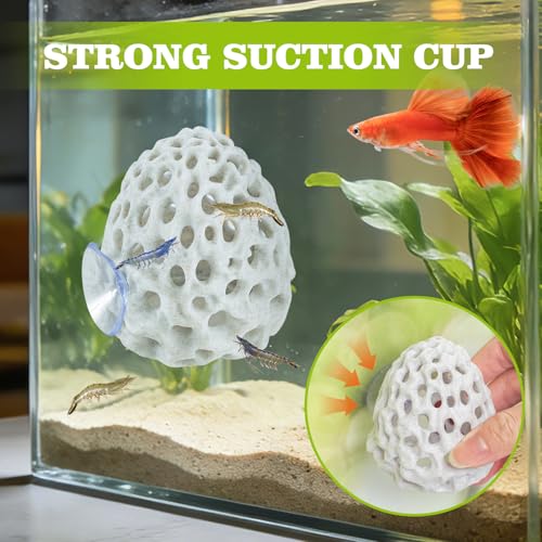 Shrimp Dome Hide, Shrimp Hides for Aquarium, Betta Fish Hideout with Suction Cup, Betta Habitat Tank Ornament Accessories, Aquarium Decor for Small Fish Guppy Hiding Resting (White) - color: White
