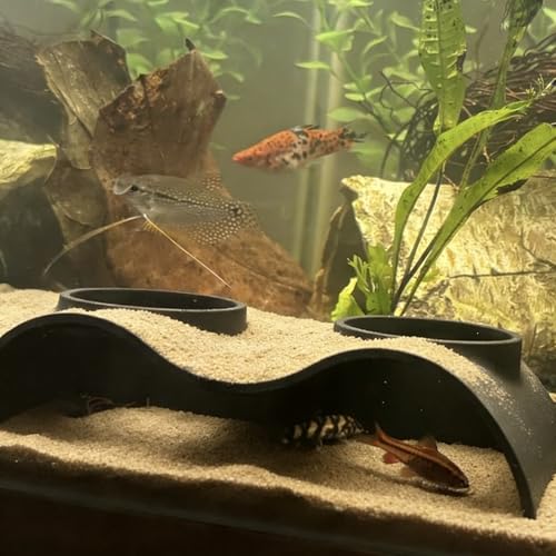 Aquarium Underground Tunnel Cave Natural Curve with Holes for Viewing, Fish Tank Decoration Hideout, for Cory Catfish, Shrimp, Loach and Pleco, Black
