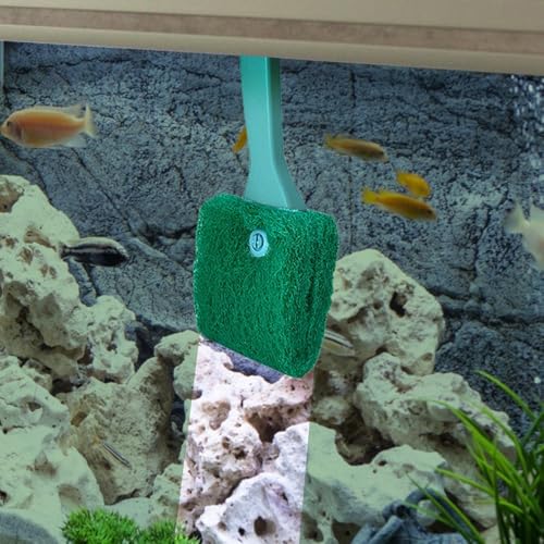 MiOYOOW Fish Tank Cleaning Brush, 2Pcs Aquarium Algae Scraper Double-Side Sponge Scrubber Cleaner with Extended Curved Handle for Fish Tank Glass Cleaning