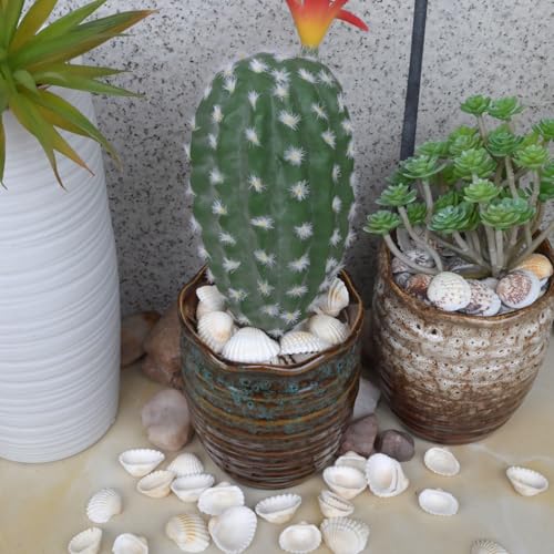 Small Seashell for Craft, Natural White Clam Sea Shells, DIY Assortment, Tiny Shell, Ocean-Themed Decorations, Fish Tank Plant Gravel, Party Wedding Home Decor Vase Filler, 200pcs