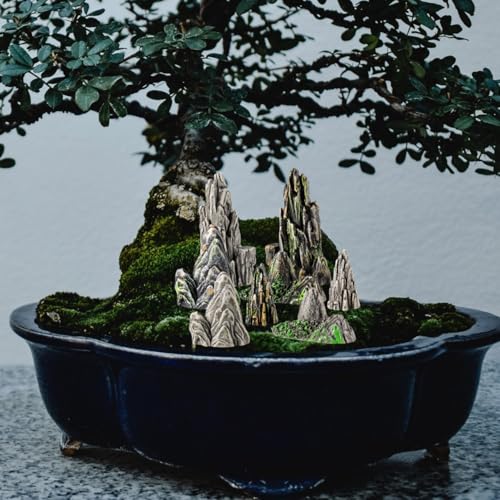 Kisangel 8Pcs Mini Resin Rockery Ornaments 1.49X0.62X0.62 Inch Aquarium Decor Fish Tank Miniature Landscape Accessories for Terrarium Bonsai Garden Micro Landscape