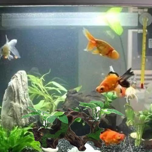 alfyng Resin Driftwood Fish Tank Decorations Trunk Cave Aquarium Decor Ornaments Simulation Plants Betta Silk Leaf Tank Accessories Goldfish Bowl Décor (B) - color: B