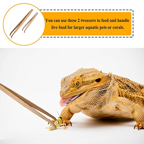 ASOCEA 2 Pack Extra Long Reptile Tweezers Feeder Tool Lizard Feeder Tongs with Anti-Slip Design for Bearded Dragons Lguanas Lizards Turtles Geckos Corals（11in and 6.5in