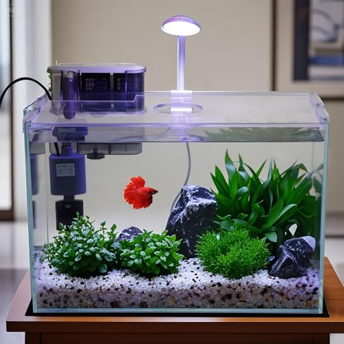 3 Gallon Glass Small Fish Tank, Betta Fish Tank Starter Kit with Filter, Lights,Lid. - size: 3 Gallon