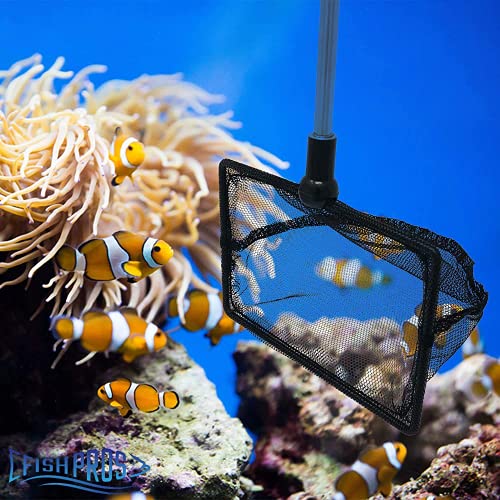 Long Handle Fine Net Fish Tank Net – Retractable 24 inches - size: 6 Inch