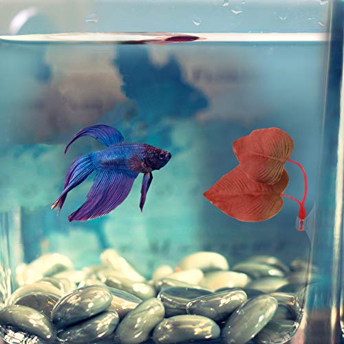 Lpraer Betta Tunnel,Fish Toys with Suction Cups,Safe Hollow Fishs Tank Accessories,Swim Tube Aquarium Decor for Small Fish and Shrimps (Black Tunnel & 2X beds) - color: Black Tunnel & 2x Beds
