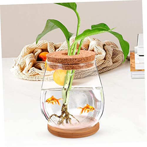 Milisten Hydroponic Glass Planter Vase with Tray 4.52X4.52X4.92In Transparent Diy Micro Landscape Bottle for Indoor Outdoor Plant Display and Home Garden Decoration