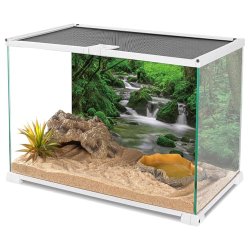 AWERT 36x18 inches Forest Terrarium Background Stream Green Huge Tree Reptile Habitat Background Stone Stream Tree Background Tropical Rainforest Aquarium Background - size: 36x18in/90x45cm