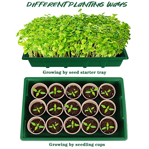 Hahood 4 Pack Seed Starter Tray Set Plants Growing Trays Peat Pots for Seedlings with Seed Starter Pots, Plastic Germination Tray, Plant Labels, Tool for Flower Vegetable Planting, Green - color: Green