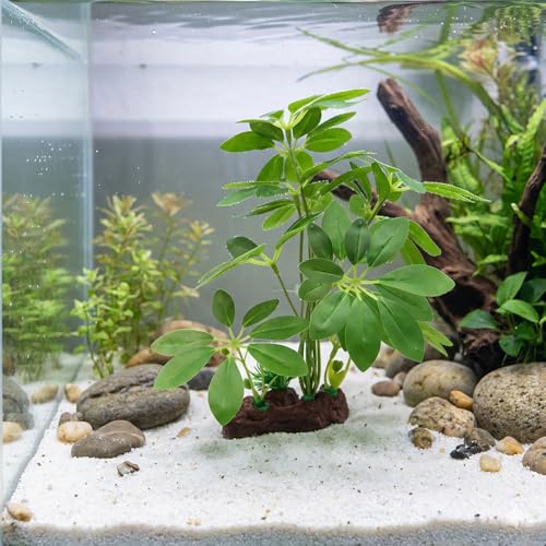 JGbaby Artificial Aquarium Plants,Fish Tank Decorations Betta Leaf Hammock Driftwood 10in Realistic Silk & Plastic Plants, Hideout Decor for Betta. Goldfish,Reptiles,Small Tanks (Green Type-I) - color: Green Type-i, size: 10 inches