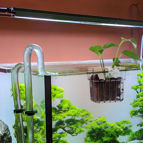 NOLITOY 4pcs Aquarium Holders Transparent Aquatic Cups for Fish Tanks Hanging Planter for Plants Easy Installation Compatibility Aquarium Accessories