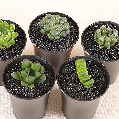 7lb Black Cactus Pea Gravel Rocks,1/4 Inch Pebbles for Indoor Plants, Natural Succulent Rock and River Rocks Decorative for Aquariums, Vases, Outdoor Gardening, Top Dressing for Potted Plants - color: Black Galaxy, size: 7LB