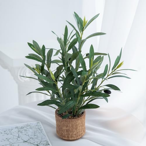 Indoor Fake Olive Plant 12 inch Faux Silk Leaves with Black Rustic Planter Medium Size Perfect Artificial Olive Fruits with Realistic Trunk and Lifelike Stems for Home and Office Decor - color: Plant a