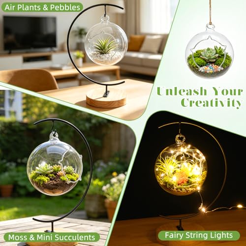 4.7" Hanging Glass Terrarium Globe with Stand for Air Plants Succulents & Desktop Decor, Small Floating Garden for Desks, Shelves, Windowsills, Offices, and Plant Lover