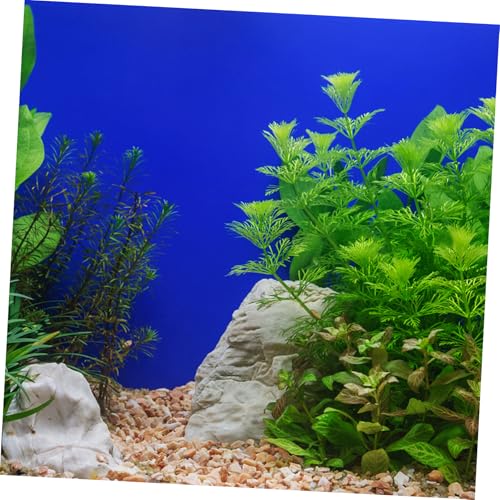 BESPORTBLE Aquarium Background Wallpaper Roll Self Adhesive PVC Fish Tank Backdrop for Easy Installation and Stunning Aquatic Decor Long High High Resolution Graphics - color: Blue