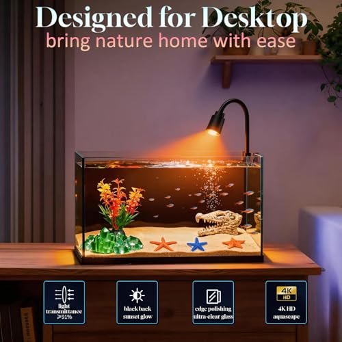 Small Fish Tank Kit,Nano Ultra-Clear Glass Rimless Black Desktop Fish Tank with Light Cleaning Tool & Décors,Small Fish Aquarium for Betta,Shrimp,Small Fish (2Gal Fish Tank Starter Kit)