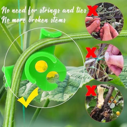 LucyPhy 60 Pack Plant Bender Angle Adjustable Plant Training Clips Low Stress Training Clips 90 Degrees Plant Stem(Circle Style,Green) - color: Green, size: 60Pack