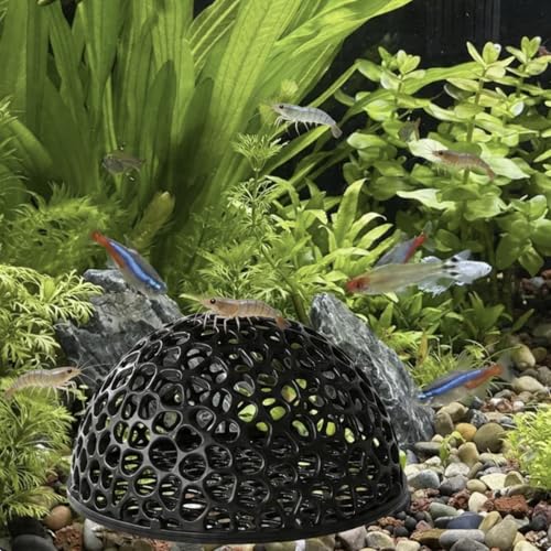 5-piece Aquarium Shrimp Hiding Set, Aquarium cave shelter, Small Fish Habitat Tunnels and Caves, Providing a Place for Small Shrimp to Breed, Play, and Rest