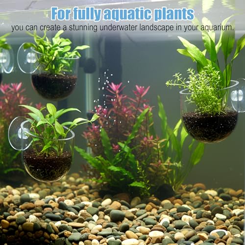 3 Pcs Fish Tank Plant Holder, 2 Size ABS Suction Cup Aquarium Plant Holder Transparent Fish Tank Plants Pots Aquatic Plants Cup for Aquascape Decoration