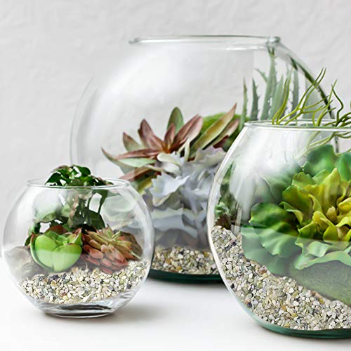 Succulent and Cactus Bonsai DIY Rocks, Jade Bean Pebbles, Natural Decorative Polished Stones Vase Fillers Gravel for Plants，Terrarium, Fairy Gardening, Indoor Outdoor Decor Ornamental Stones. - size: 1 LB