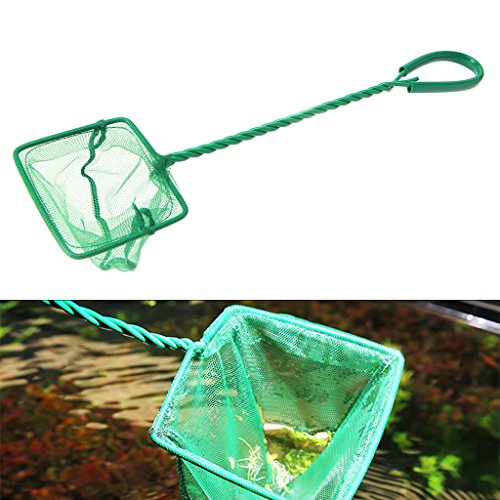 Fish Net for Fishing 3 4 5 6 8 10In Fine Net Aquariums Accessories for Fish and Shrimp Comfort Handle Aquariums Netting