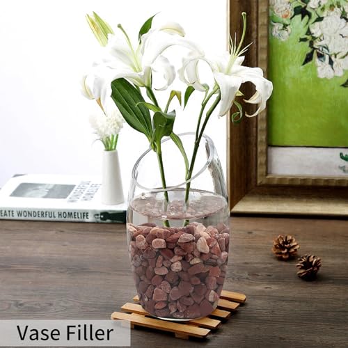 FANTIAN 2 lbs Succulent and Cactus Pebbles Gravel, 3/8 Inch Decorative Red River Rocks for Plants Indoor, Vases, Terrarium, Potted Top Dressing and Outdoor Decorative Stones - color: Red Gravel