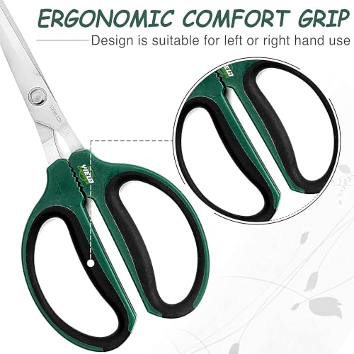 Hydroponic 2-Pack Bonsai Scissors and Plant Trimming Shears Set - Stainless Steel Pruning Shears for Indoor Gardening, Succulent Harvest, and Precision Plant Care
