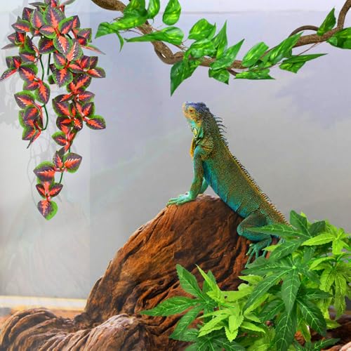KATUMO Reptile Plants, 3 PCS Amphibian Hanging Plants with Suction Cup for Snake, Bearded Dragons, Lizards, Geckos, Toads, Hermit Crab Tank Pets Habitat Decorations - color: Green+fire Red