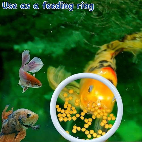 Betta Fish Exercise Ring and Filter Balls Set, Betta Ring Training Loop with Suction Cup and Nitrifying Ball, Betta Enrichment Toys, Aquarium Toys for Fish Turtle Tank Small Fish Tank (White, M-73mm) - color: White, size: M-73mm