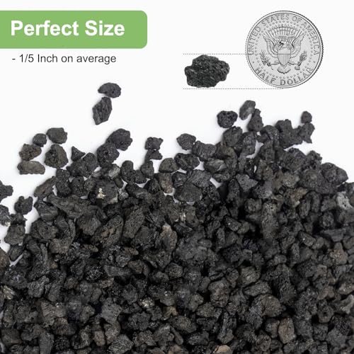 2.5lbs Lava Rocks for Plants, 1/5 Inch Black Gravel for Succulent, Cactus, Bonsai Tree, Pure Volcanic Rocks, Top-Dressing, Good Drainage - color: Black