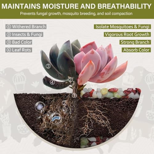 NUPICK 6 lbs Pebbles for Indoor Plants, 3/8 Inch Pea Gravel for Fish Tank, Polished Decorative Rocks for Succulent, Natural River Stones for Vases, Cactus, Landscaping, Bird Bath, Colorful Mixed - color: Colorful Mixed, size: 6 lb