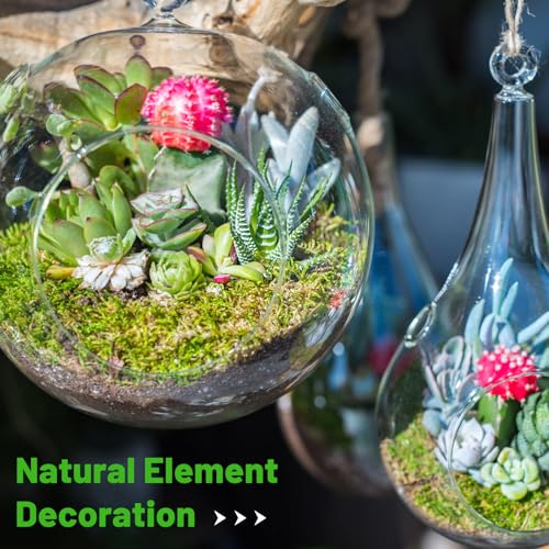 40'' x 6'' Green Dried Moss Roll, Preserved Moss Sheet for Crafts Table Decoration Fairy Wedding Party Woodland Garden Decor - color: 40*6 Inch