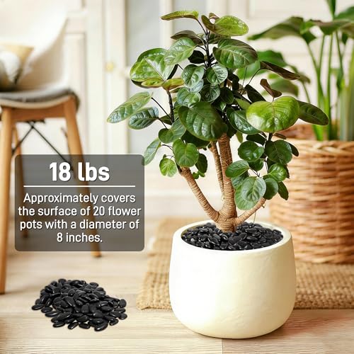 18 lb Natural Polished Black River Rock for Plants, 1/2" Black Pebbles for Aquarium, Vase, Garden Landscape Rocks and Outdoor Decorative Stones - style: Black Stones, black landscape rocks