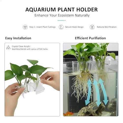 2 Pack Hanging Aquarium Plant Holder – 7-Hole Fish Tank Plant Pot for Pothos & Aquatic Plants, Floating Plant Corral, Aquascape Decor, Rim Plant Holder (Transparent) - color: Transparent
