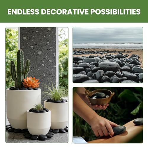6 lbs Black River Rocks for Landscaping, 2-3 Inch Polished Pebbles for Garden, Decorative Stones for Plants, Succulents, Aquarium, Fish Tank, Outdoor Yard Walkways & Paving - size: 6lb, style: black