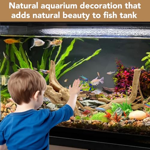Jorewood Natural Large Spiderwood Driftwood for Aquarium Decor Rptile Fish Tank Decoration Assort Branch 13-16'' Pack of 1 - size: Spiderwood 13 to 16 Inch (Pack of 1)