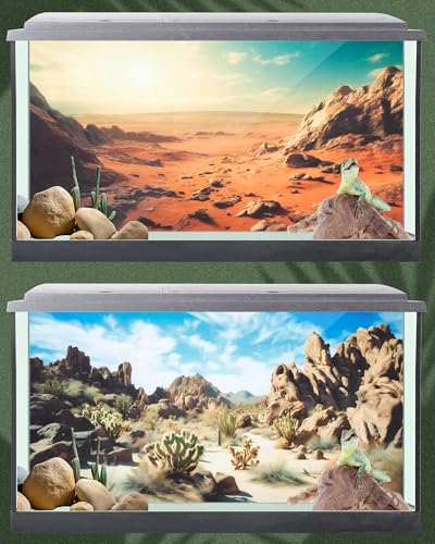 Breling 4 Pcs 36 x 18 Inch Reptile Habitat Background with Nano Glue Gobi Sun Cactus Stone and Green Tree Fern Stream Bearded Dragon Terrarium Background Polyester Durable Aquarium Accessories - color: Style1, size: 18 x 36 Inch