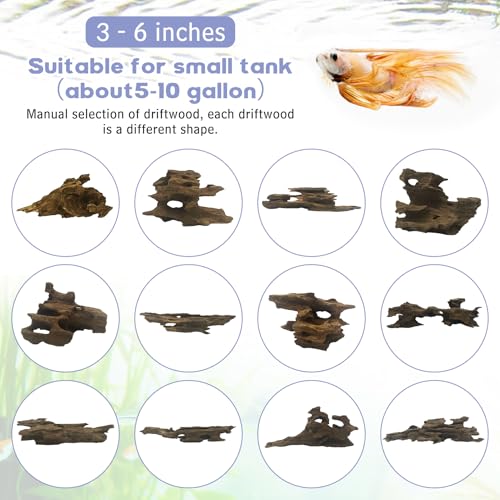 Hamiledyi Natural Driftwood for Aquarium Decor 12 PCS Fish Tank Wood with Small Holey Aquarium Wood Aquascaping for Shrimp Betta Hermit Crab and Butterfly Fish - size: XS:3-6 inches-12pcs
