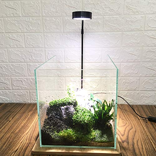 LED Aquarium Light 360 Degree Full Spectrum LED Light with Bamboo Board 10W Nano Fish Tank Light USB Powered Flat Nano Aquarium Light Bett a Fish Tank Light for Plant Growth - size: 10w l / 10.62x11.22inch