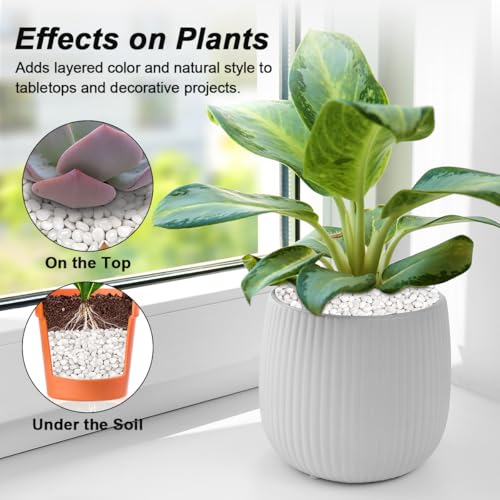 Fish Tank Rocks,Landscaping Pebbles,Decorative Ornamental Pebbles Garden,Landscaping Stones Gravel Filler for Home Decoration Flower Bed Fish Tank Plants Vases Succulents (5 Pounds, White) - color: White, size: 5 Pounds