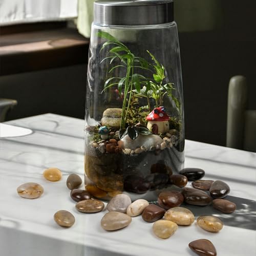 2lbs Pebbles for Indoor Plants, 1-2Inch Mixed Color Natural River Rocks for Aquarium, High Polished Decorative Stones for Vase Filler Fish Tank Landscaping Garden - color: Mixed Color, size: 2 Pounds