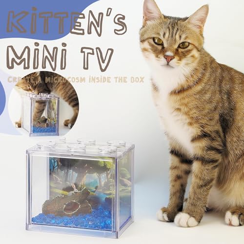 Small Betta Fish Tank, Mini Sea Monkey Tank Aquarium Kit with Gravel & Background Resin Decor, 0.6 Gallon Stackable Tabletop Fish Bowl Accessories for Shrimp Seaweed Ball - color: Clear