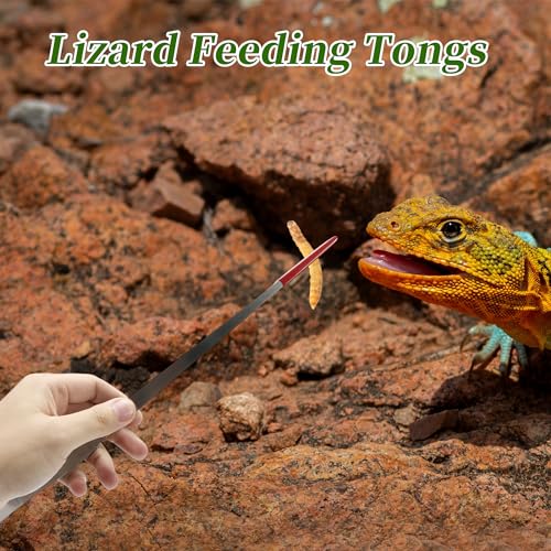Reptile Feeding Tongs, Stainless Steel Lizard Feeding Tongs, Aquarium Straight Feeding Tweezers for Reptiles with Rubber Tip, Terrarium Feeding Tongs for Gecko, 10.63" L, Black - color: Red, size: 14.96"