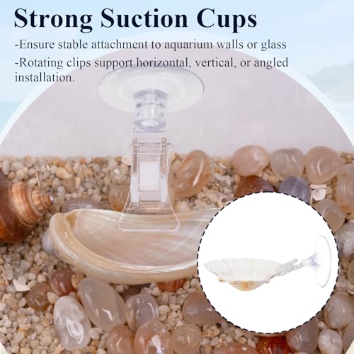 5 Pcs Betta Fish Bed Shell Hammock Betta Resting Spot with Suction Cups Natural Shell Hideouts & Spawning Grounds for Betta, Shrimp, Cichlid, Small Fish Tank Decorations