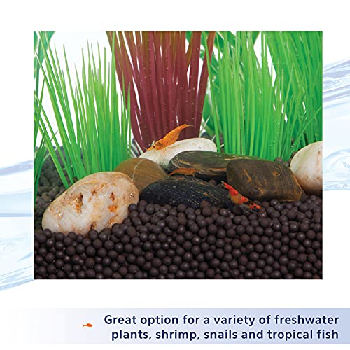 Aqueon Plant and Shrimp Aquarium Substrate, Aqua Soil for Fish Tanks, 5 Pounds - size: 5 Pounds