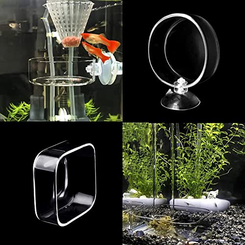 Aquarium Shrimp Feeder Dish Glass Fish Tank Feeding Bowls, 1pcs Round Glass Food Bowl (60mm), 2pcs Square Fish Feeding Bowls with Suction Cups (60mm) - size: 3x Bowl Combine 3