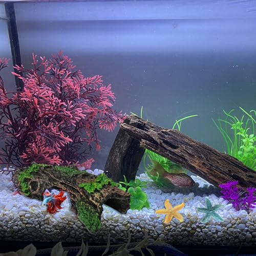 Starfish and Resin Hollow Tree Trunk Fish Tank Decorations, Betta Fish Tank Accessories, Aquarium Arnaments Hollow Tree x 1pc, Fish Aquarium Decorations Starfish x 2pcs(Blue and Yellow)