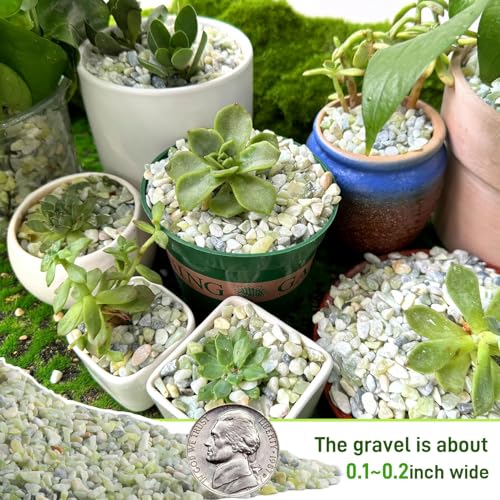 45lb Jade Bean Stone,1/4 Inch Bonsai DIY Rocks, Natural Succulent Rock and River Rocks Decorative for Aquariums, Vases, Terrarium, Outdoor Gardening, Top Dressing for Potted Plants - color: Light Green, size: 45 lb(new)