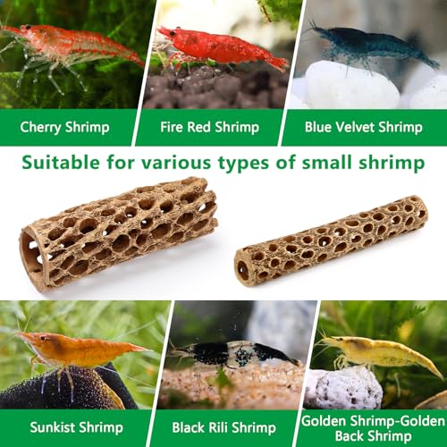 6“ Resin Cholla Wood Aquarium Décor Wood- Realistic Shrimp Hideout & Climbing Toy (6" L×1”Dia, 2pcs)