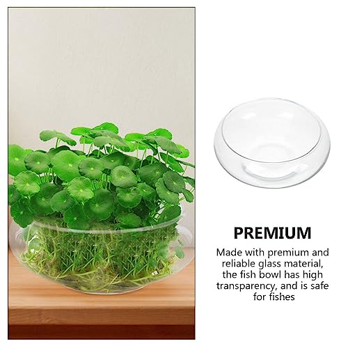 VOSAREA Glass Vase Bowl Glass Bubble Bowl Terrarium Succulent Planter Air Plants Hydroponic Display Floating Candles Clear Bubble Fish Aquatic Plant Pot Daffodil Pot (9.82X9.82X3.93in)